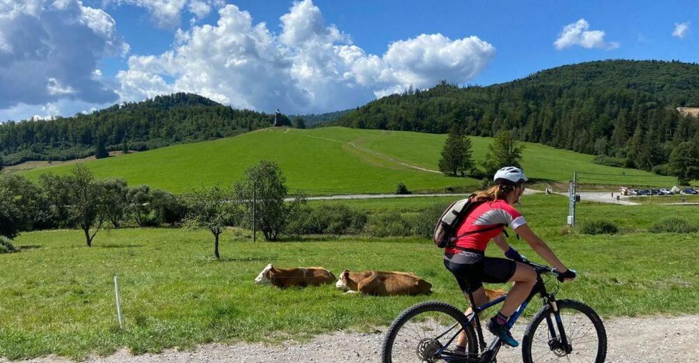 Penzion Zbojnicky Halas Tisovec Exterior foto
